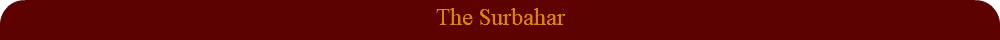 The Surbahar